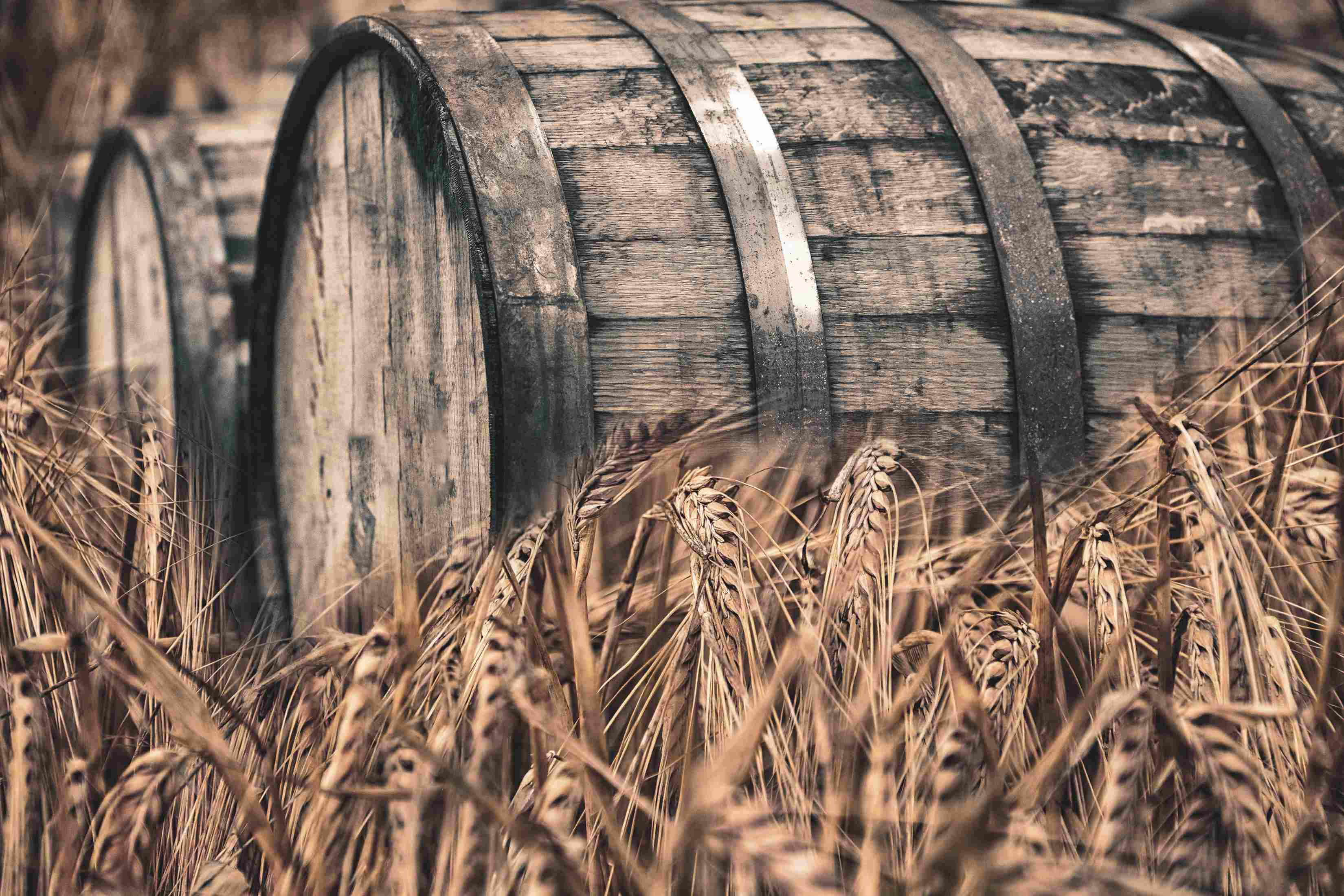 A Quick Look at the Origin of Whisky